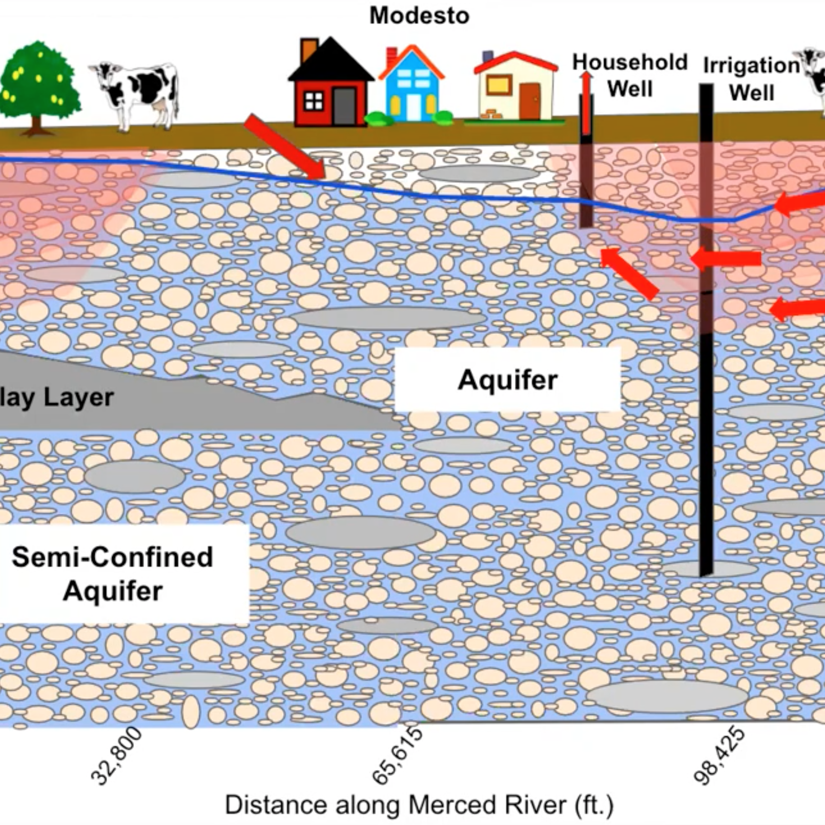 Screenshot from video of Nitrates in Water 
